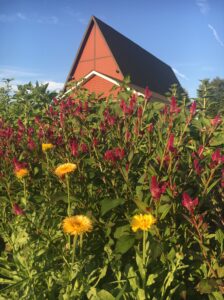 lutheran-church-near-me-clarence-ny