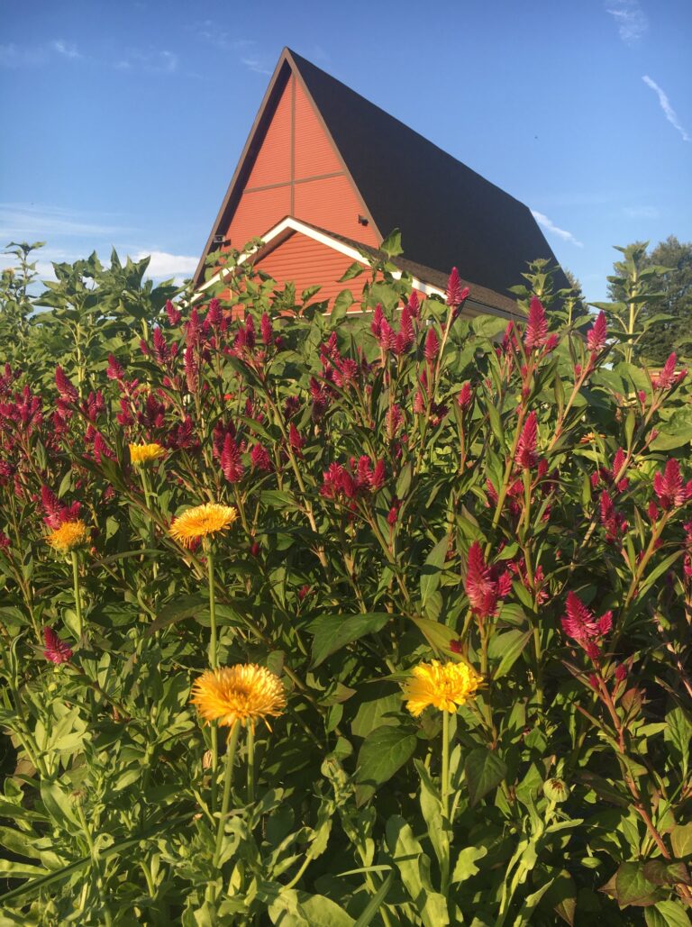 lutheran-church-near-me-clarence-ny