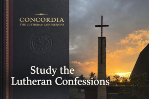 Read more about the article Excellence in the Study of the Lutheran Confessions