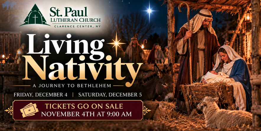 buffalo-living-nativity